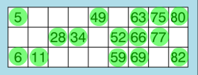 90 ball bingo card - full house