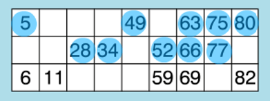 90 ball bingo card - 2 lines A