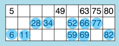 90 ball bingo card - 2 lines C